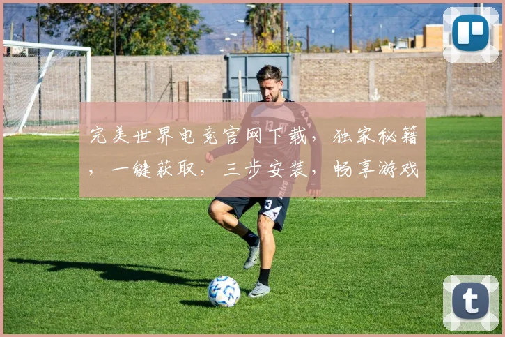 完美世界电竞官网下载，独家秘籍，一键获取，三步安装，畅享游戏盛宴