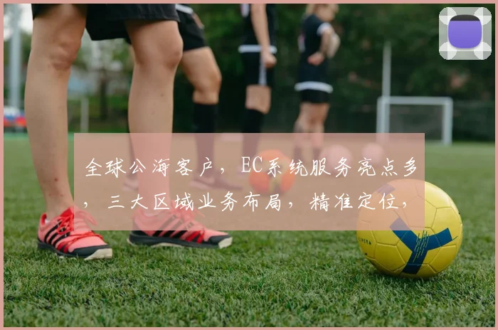 全球公海客户，EC系统服务亮点多，三大区域业务布局，精准定位，高效合作