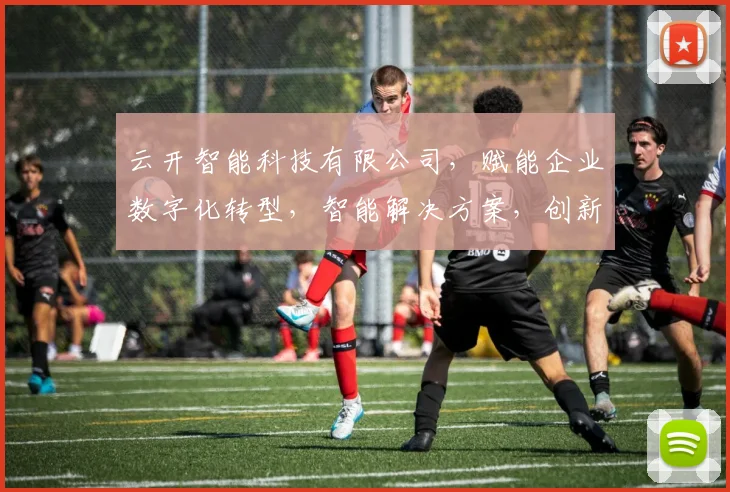 云开智能科技有限公司，赋能企业数字化转型，智能解决方案，创新科技，引领未来