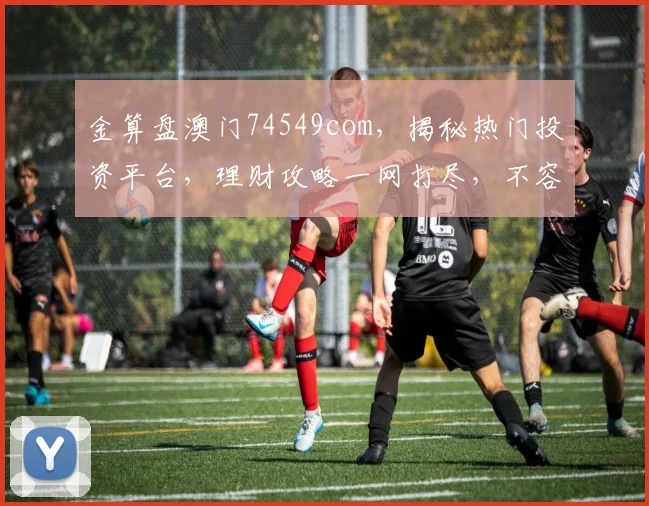 金算盘澳门74549com，揭秘热门投资平台，理财攻略一网打尽，不容错过