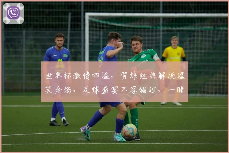 世界杯激情四溢，贺炜经典解说逗笑全场，足球盛宴不容错过，一睹为快
